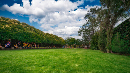 landscape with trees and clouds