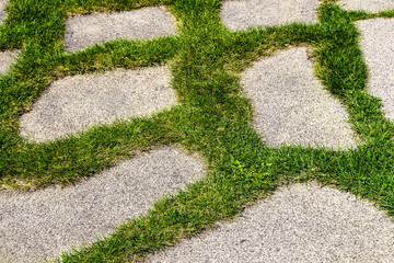 Beautiful path through the green lawn in the park.