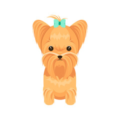 Cute Yorkshire terrier on a white background. Cartoon dog design.