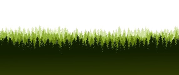 Fototapeta na wymiar Pine forest. Silhouettes of coniferous trees. Wild landscape horizontally. Nice panoramic view. Beautifully illustration isolated on white background. vector