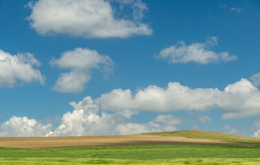 landscape with a hill and blue summer sky with white clouds