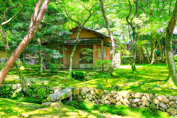 京都、西芳寺（苔寺）の庭園