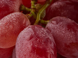 Grapes. Red grape. Grape branch isolated on white. With clipping path. Full depth of field.