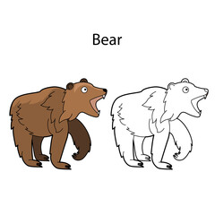 Funny cute animal bear isolated on white background. Linear, contour, black and white and colored version. Illustration can be used for coloring book and pictures for children