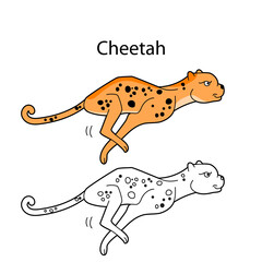 Funny cute animal cheetah isolated on white background. Linear, contour, black and white and colored version. Illustration can be used for coloring book and pictures for children