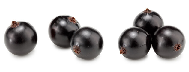 black currant isolated on white background. macro. clipping path