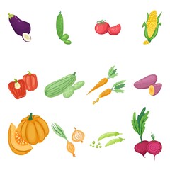 hand drawn vector set. colorful Vegetables 