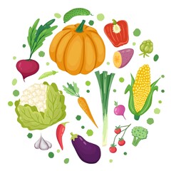 vegetables in round.hand drawn vector template. cartoon pumpkin, corn,eggplant,broccoli,pepper,carrot,beet,cucumber,shallot, cherry tomato, yam sweet potato, garlic,cauliflower,radish,artichoke,beans