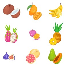 hand drawn vector set. exotic tropical fruits