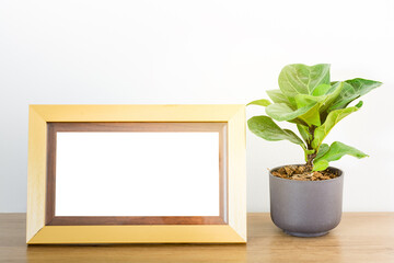 Empty gold frame with green leaves of fiddle fig or ficus lyrata in brown plastic pots on wood table. Fiddle-leaf fig tree houseplant air purifying plants for home tropical minimal design.