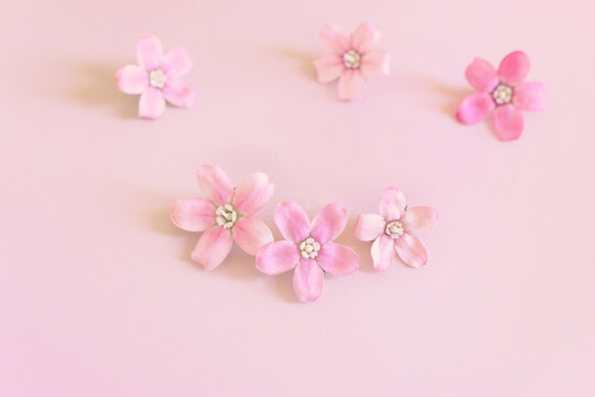 Close up image of pink flowers composition over pastel background .Flat lay. top view