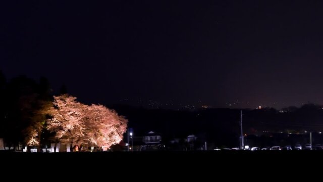 山梨県の「わに塚の桜」夜桜