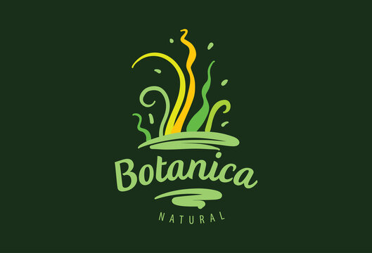 Logo with the inscription Botanica and painted leaves