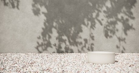 Exhibition Podium, stand, on pastel light аrchitectural background for premium product  -3D render. Unobtrusive botanical background with shadow on the wall - trend frame, cover, card, postcard. 