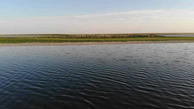 Kalmykia, nature reserve. Bird island on a lake in the steppe.