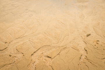 Water erodes the sand on the beach