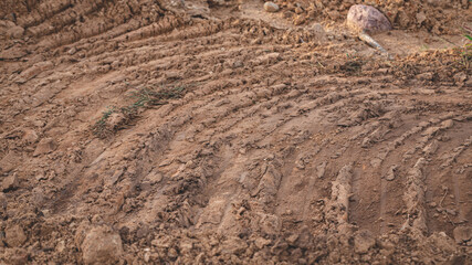 truck and heavy bulldoser and excavator tyre prints in gravel quarry road.