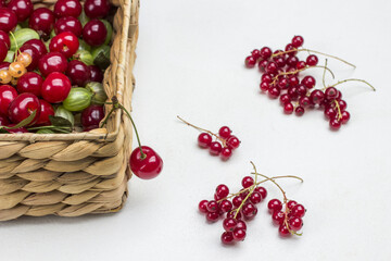 Cherries, gooseberries, currants in wicker basket. Red currant on table