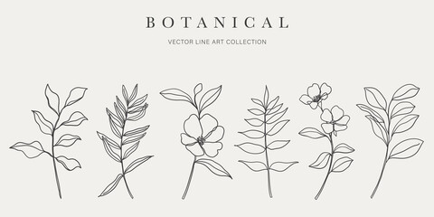 Botanical arts. Hand drawn continuous line drawing of abstract flower, floral, ginkgo, rose, tulip, bouquet of olives. Vector illustration.