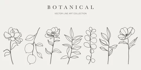 Cercles muraux Une ligne Botanical arts. Hand drawn continuous line drawing of abstract flower, floral, ginkgo, rose, tulip, bouquet of olives. Vector illustration.