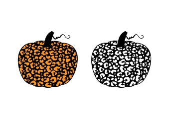 Vector two pumpkins or cucurbita with leopard print on white background. Orange and black silhouette pumpkin vegetable for farm market, fall banners, Thanksgiving, Halloween. Autumn Cucurbita.