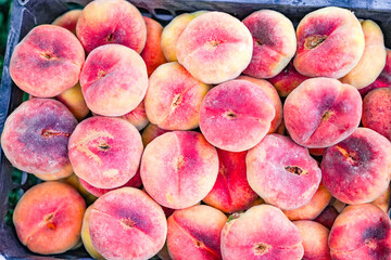 Freshly picked flat peaches, ecological green peach planting