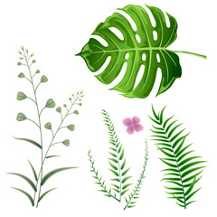 Set of different leaves on a white background. Isolated image.