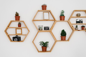 Wooden hexagon shelf on the light wall. Potted Houseplants, photo frames, retro cameras