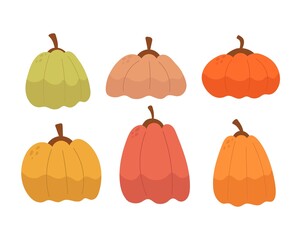 cartoon set of pumpkins. Season, nature theme. colorful vector illustration, flat style. design for cards, t-shirt print, poster
