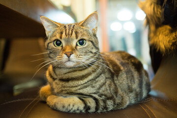 여행, 음식, 일상 사진