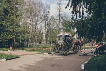 Decorated carriage with horse rides in spring park among flowers