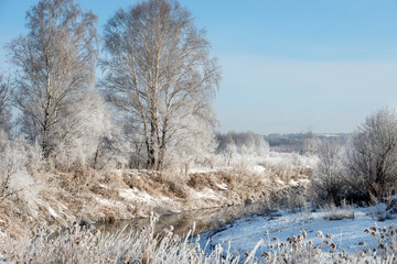Trees and plants near the river are covered with frost on a cold winter sunny day