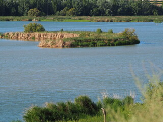 beautiful islands of reeds and birds, refuge and nesting place for fauna, in lake ivars and viala sana, lerida, spain, europe