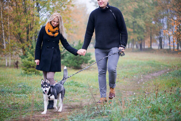 Naklejka na ściany i meble Young family couple with siberian husky dog walking in autumn park