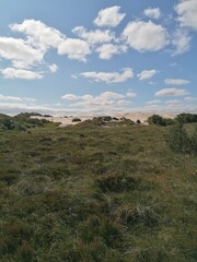 Fototapeta na wymiar Råbjerg Mile sand dunes and desert in Northern Jutland outside Skagen, Denmark