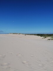 Råbjerg Mile sand dunes and desert in Northern Jutland outside Skagen, Denmark