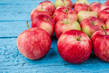 Apples are laid out in rows, the harvest is from the garden, natural background