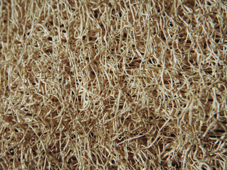 Close-up of natural loofah sponge for background, copy space