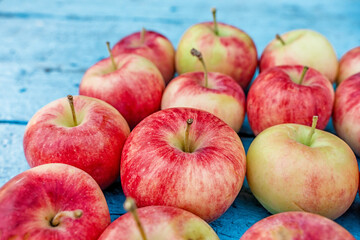 Apples are laid out in rows, the harvest is from the garden, natural background
