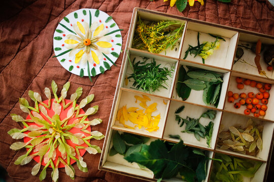 Natural materials for creativity, mandalas from natural materials of leaves and petals. background with Eco-friendly crafts and toys for children