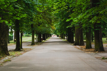 alley in the park