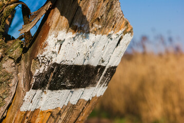 old wooden fence