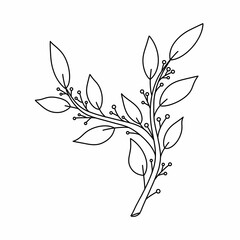 Plant line art. Twig, branch with leaves and berries black and white. Suitable for clothing prints, packaging, advertising