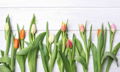 Colorful tulips on wooden board.