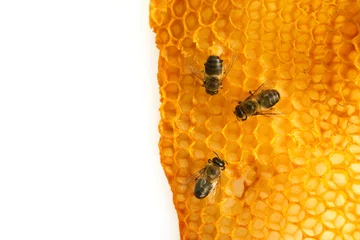 Fotobehang National honey bee day. Frame with Bees crawl on honeycomb. © vetre