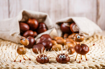 Using autumn fruits horse chestnuts and oak acorns to make fun animals, hedgehog, horse. Rustic...