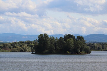 Jezioro Nyskie, zatopione drzewa na wodzie
