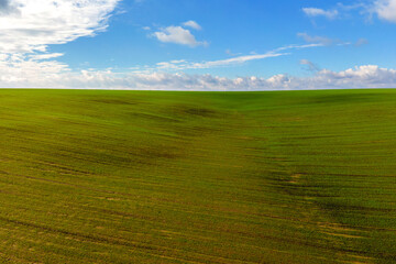 Fototapeta premium Aerial view of bright green agricultural field in early spring.