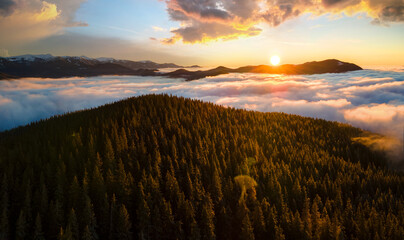 Aerial view of vibrant sunrise over mountain hills covered with evergreen spruce forest in autumn.