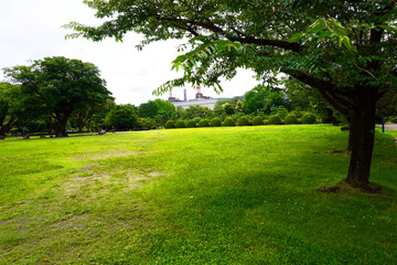 Fototapeta na wymiar Nagoya Castle Japanese Garden Aichi Japan Art Wall painting 名古屋城 日本 壁画 日本庭園 日本芸術